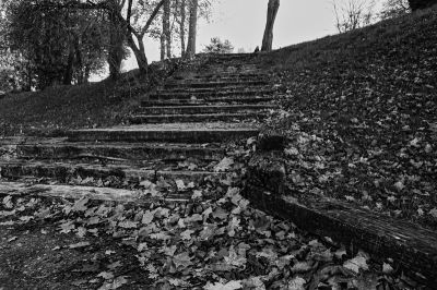 l'escalier de bois
Mots-clés: Nikon F4S