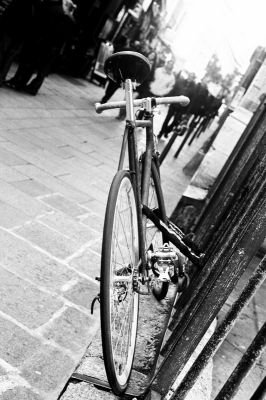 Sortie du 28 Oct 12
