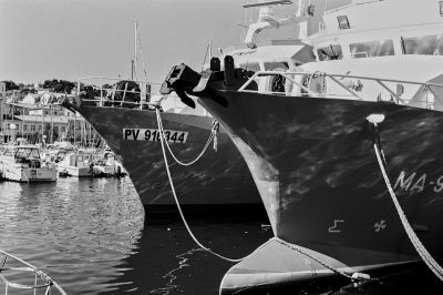 retour de pêche
Mots-clés: Nikon F4S
