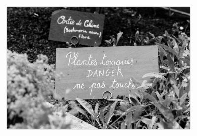 Herbes aromatiques
Mots-clés: Nikon F