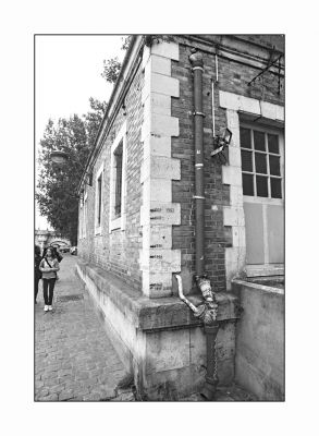Les crues de la Seine
Nikon F Nikkor 24
