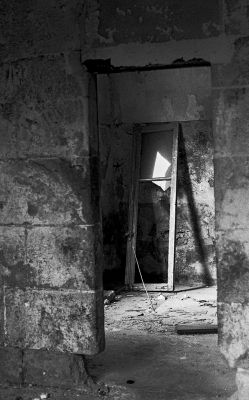 friche
Mots-clés: Nikon F3
