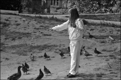 et les pigeons
