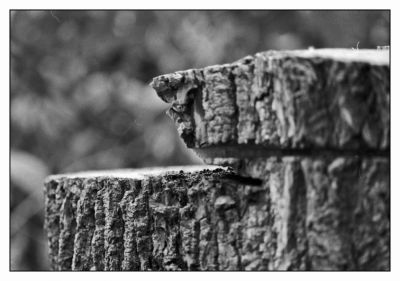 La fracture
