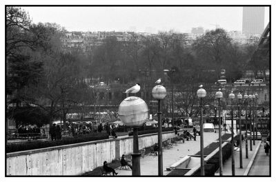 A la Queue Leu-leu
Nikon F
Kodak TriX 400
Mots-clés: Nikon FTn