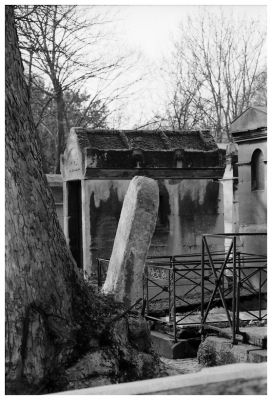 Cimetière Caulincourt
NIKON F90X
Mots-clés: Nikon F90X Montmartre Paris