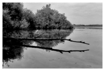 Le bord d'étang de St Quentin
NIKON F90 35/70 F/3.3
RETRO 100 AGFA
Mots-clés: nikon F90 REFLEX 