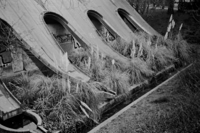 2015_006_TMax400_RC35_25_inv_800-1.jpg