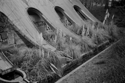 2015_006_TMax400_RC35_25_inv_800.jpg