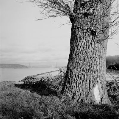2016_001_TMax_100_Semflex_12_inv_800.jpg