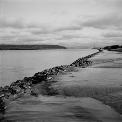 2016_002_TMax_100_Iskra_06_inv_800.jpg