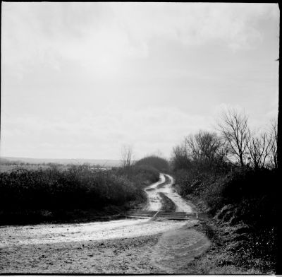 2016_002_TMax_100_Iskra_10_inv_800.jpg