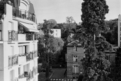 C_800.jpg