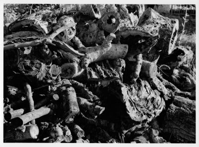 Tas-de-bois_A_800_new.jpg