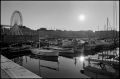 2015_010_Acros_FG_30_inv_800.jpg