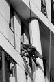 2015_011_Acros_FG_26_inv_800.jpg