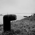 2016_002_TMax_100_Iskra_01_inv_800.jpg