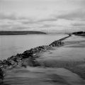 2016_002_TMax_100_Iskra_06_inv_800.jpg
