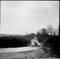 2016_002_TMax_100_Iskra_10_inv_800.jpg