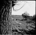2016_002_TMax_100_Iskra_12_inv_800.jpg