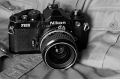 FE_004_37_inv_800.jpg