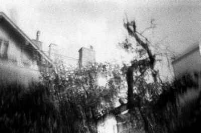 WTF
LOMO SMENA 8M, Ilford HP5+, dév maison.

Parmi mes premiers développements, photo franchement surréaliste,je me demande encore comment j'ai pu sortir ça...
Mots-clés: lomo smena