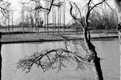 Ramures
Canon A1 FD 55mm F/1.2 Delta100 ID11 1+1
Mots-clés: Canon A1 FD 55mm F/1.2 Delta100 ID11