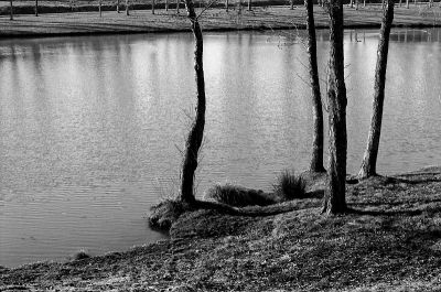 Bords du lac
Canon A1 FD 55mm F/1.2 Delta100 ID11 1+1
Mots-clés: Canon A1 FD 55mm F/1.2 Delta100 ID11