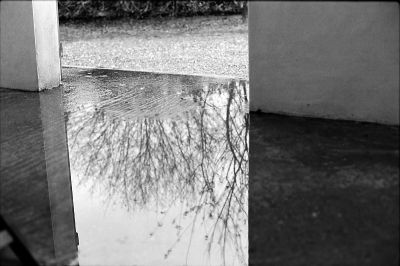 Reflets
Canon A1 Delta100 ID11 1+1 11min 20°C
