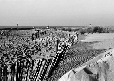 Surfer
Canon A1 FD 55/1.2 Delta100 ID11 1+1
