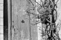 Delta100_A1_0007_Door.jpg