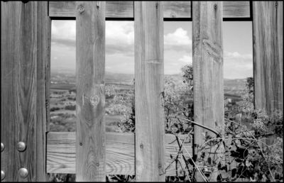 Provence au Puy sainte Réparade
FP4+@125 iso
D76 1+1
Leica M6 et Biogon 35mm
