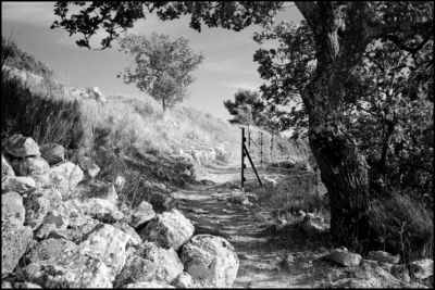 Un chemin au puy sainte Réparade
FP4+@125 iso
D76 1+1
Leica M6 et Biogon 35mm
