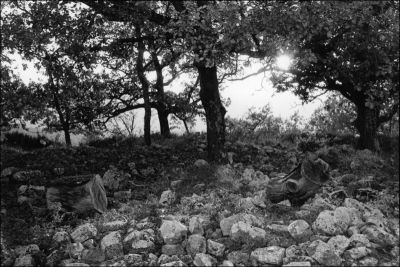 Contre- jour au Puy Sainte Raparade
HP5+@400 iso
D76d
Leica M6 & Biogon
