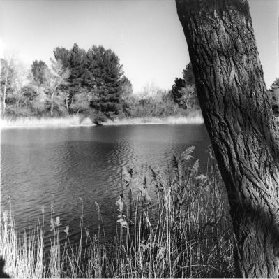 Etang de Saint Esteve-Janson
