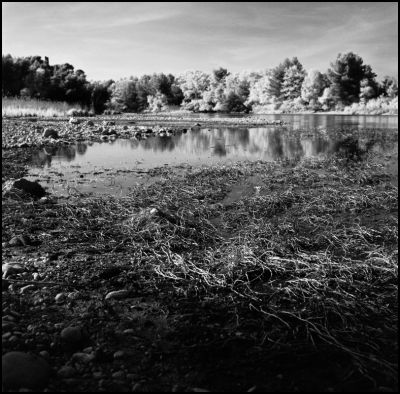 Etang de Janson
Rollei IR 400 @400 iso
D76 1+1
Hasselblad et 80mm
