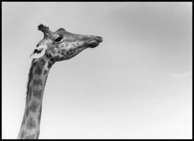 Au Zoo de la Barben
