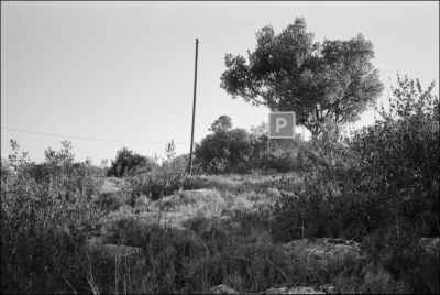 Parking libre
FP4+@125 iso
D76d 1+1
Leica M6 & Biogon
