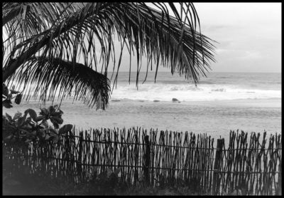 Plage Tarzan
Chez Tarzan à Ambodiatafana
24 mm, Acros 100
