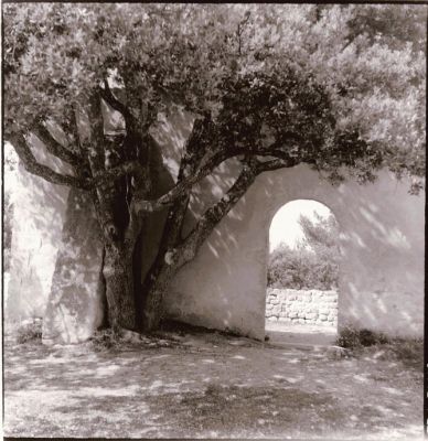 La bastidonne
