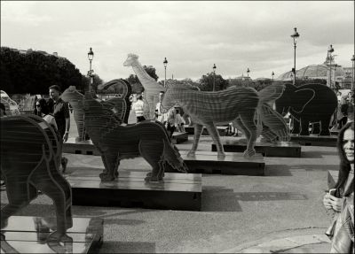 Zoo des Invalides
HP5+@400 iso
D76 1+1
Leica M6 et Biogon
