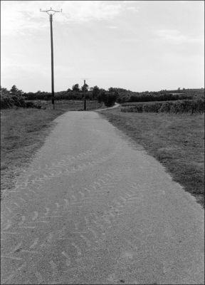 Route de vignes
M6 & Biogon
HP5 périmée @100 iso
D76d
