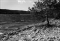 Nom du fichier=Arbre_à_Esparon.jpg
Taille du fichier=329Ko
Dimensions : 800x548
Ajouté le : 20 Décembre 2015 Arbre_à_Esparon.jpg