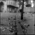 Automne_Peyrolles.jpeg