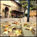 Nom du fichier=Automne_en_couleur.jpg
Taille du fichier=888Ko
Dimensions : 790x800
Ajouté le : 17 Octobre 2015 Automne_en_couleur.jpg