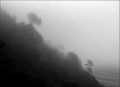 Nom du fichier=Brouillard_Petit_Luberon.jpg
Taille du fichier=208Ko
Dimensions : 800x582
Ajouté le : 30 Octobre 2015 Brouillard_Petit_Luberon.jpg