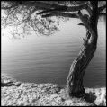 Nom du fichier=Lac_Esparon.jpeg
Taille du fichier=371Ko
Dimensions : 791x796
Ajouté le : 18 Janvier 2015 Lac_Esparon.jpeg
