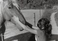 Marion__et_cheval.jpg