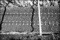 Nom du fichier=Voie_ferree.jpeg
Taille du fichier=370Ko
Dimensions : 786x526
Ajouté le : 11 Septembre 2015 Voie_ferree.jpeg