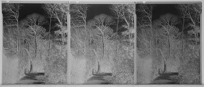 100 200 400
3 sensibilités, ensemble, xtol 1+1, 8min30

